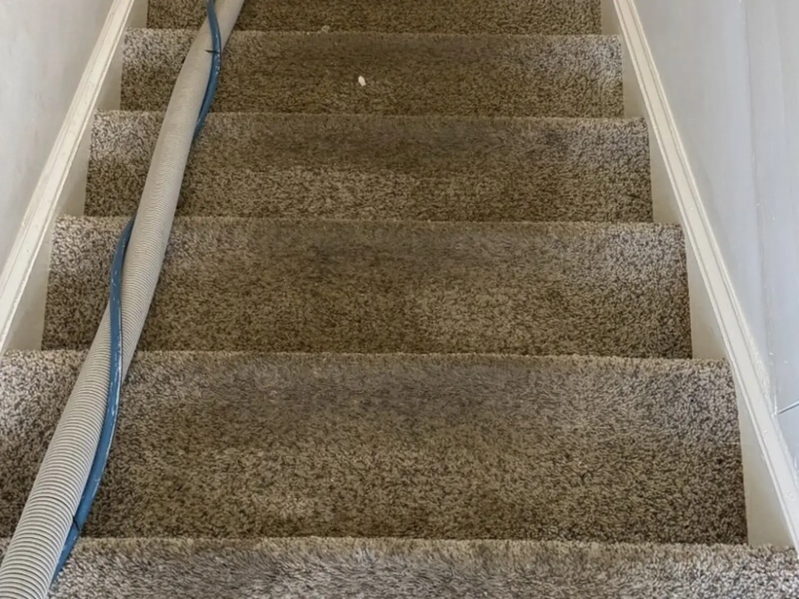Carpeted staircase before cleaning, with the extraction hose on the left